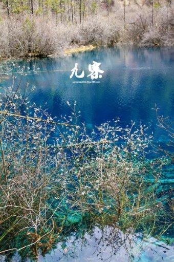 天下手游