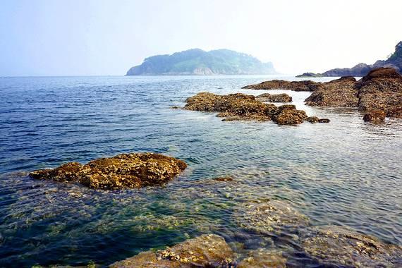 逃离水虎鱼湖