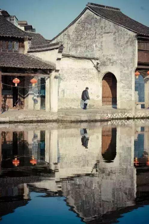 可爱猪救援2